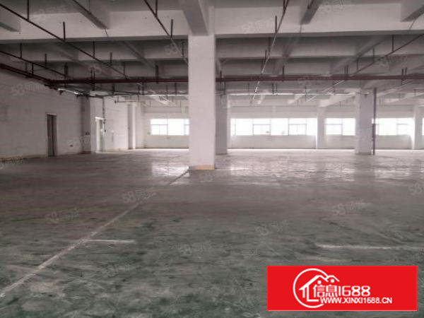 黄田标准厂房|1469平简装|格局方正|业主直租|车位充足