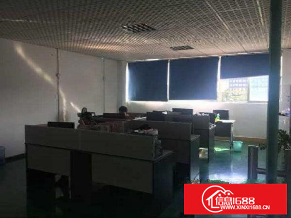 （原房东独栋）常平袁山贝一二楼750平米厂房招租