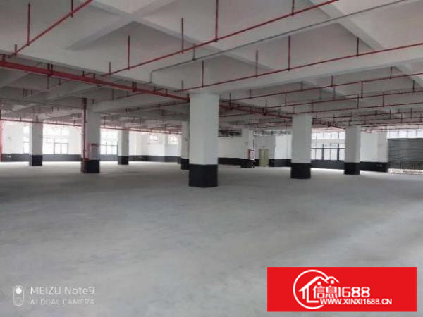容桂高黎高新区厂房出租