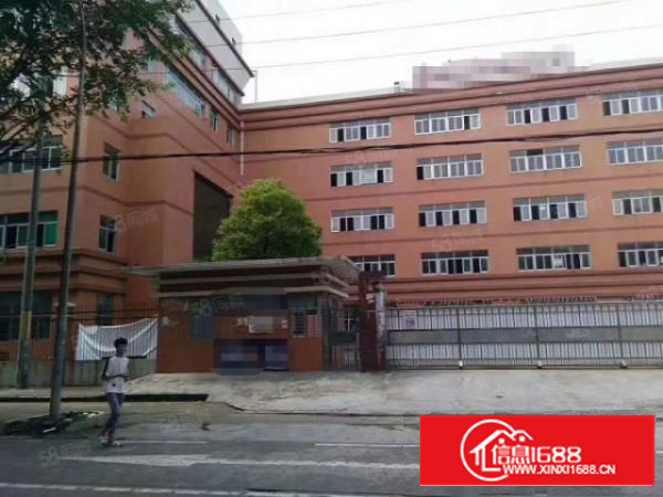 凤岗雁田楼上新出3000平精装修厂房出租园区空地超大