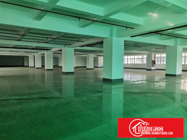 长安镇厦岗楼上2600平高速出精装修厂房出租带全新地坪漆可分