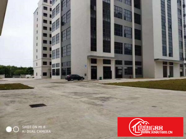 东坑厂房出租工业园区精装厂房水电配套齐全