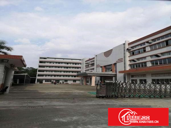 出租常平大量原房东标准钢构厂房500平1000平2000平等