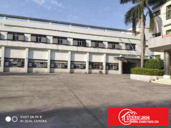 清溪新出原房东一楼1600平方带水电装修低价急租