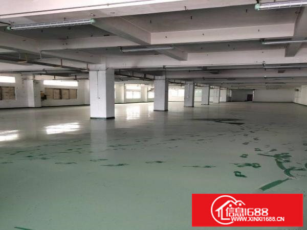 布吉坂李大道上李朗200平500平1000平2000平出租