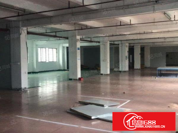 茶山原房东厂房一楼1200平方出租