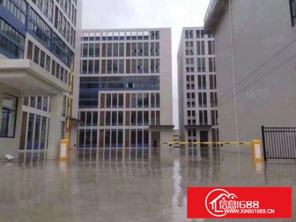 大朗新马连全新6万平方厂房出租大小分租价格好谈能办环评