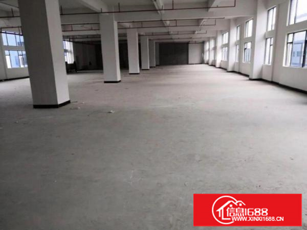 沙头新出大小面积厂房火爆招租！120平起分