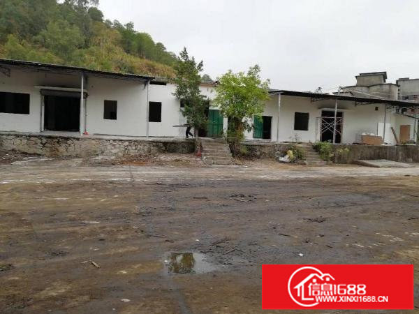 横岗新出超大空地，钢构厂房便宜出租，近地铁站