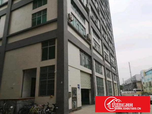 君子布1楼厂房1250平方出租