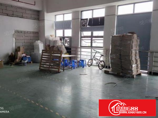 出租光明将石楼上1250平,精装修可办环评,采光好,面积实在