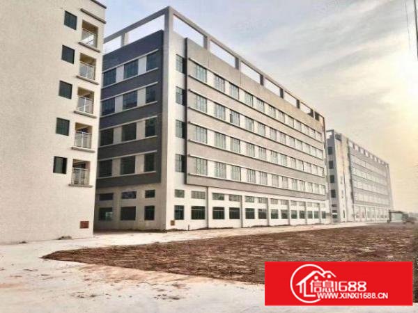 东莞石排镇原房东出租3楼2000平方带装修办公室没可分租一半