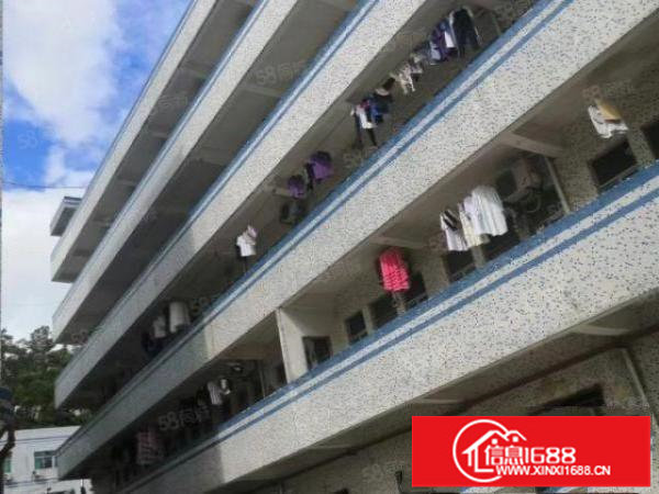 横岗西坑新出村委独院8800平方空地大交通方便