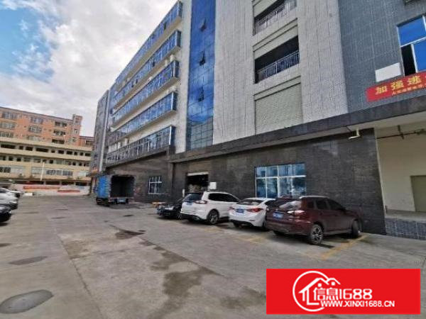 龙华大浪龙泉信息工业园三楼2000平厂房出租原房东可分租