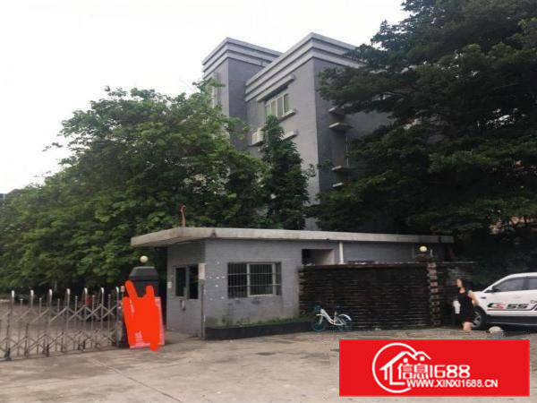 高埗镇低涌村国有证独院标准厂房出租36000平方