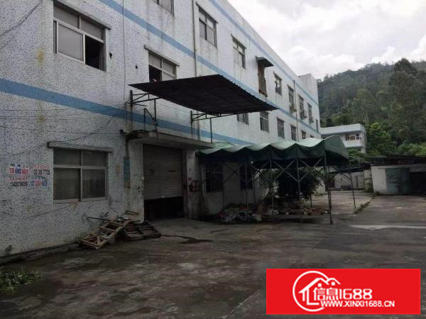 地铁站3600平米电商独院厂房招租