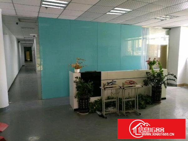 坂田风门路禾坪岗工业区厂房500平米