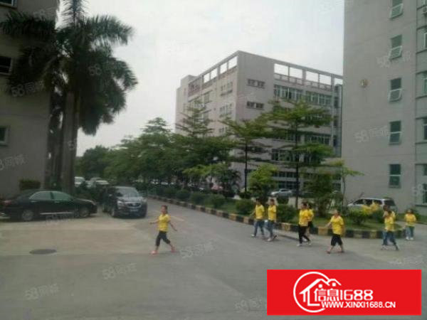 坪地中心村标准独院厂房出租一楼3000平,带装修,可办环评