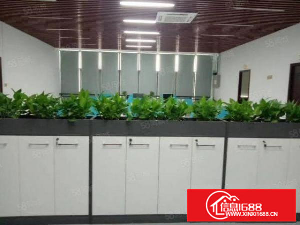 观澜新出原房东实际面积1500平无尘车间