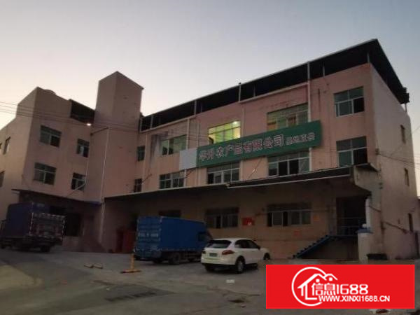 龙岗海吉星农批市场附近厂房仓库招租