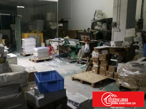 厂房一楼，楼层高，光线充足，自带三相电，可做环评