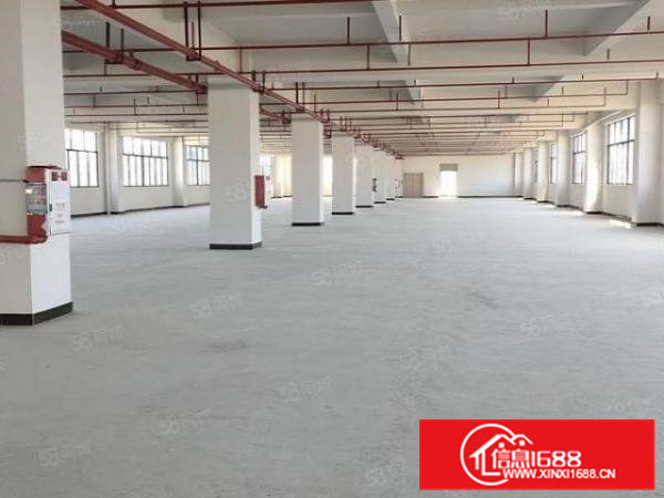 袁山贝原房东标准厂房一楼1800平方，实际面积无公摊，形象好