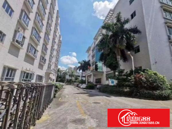 龙华油松独门独院，花园式红本厂房1-5楼25200平