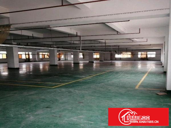 凤岗新出大空地小独院