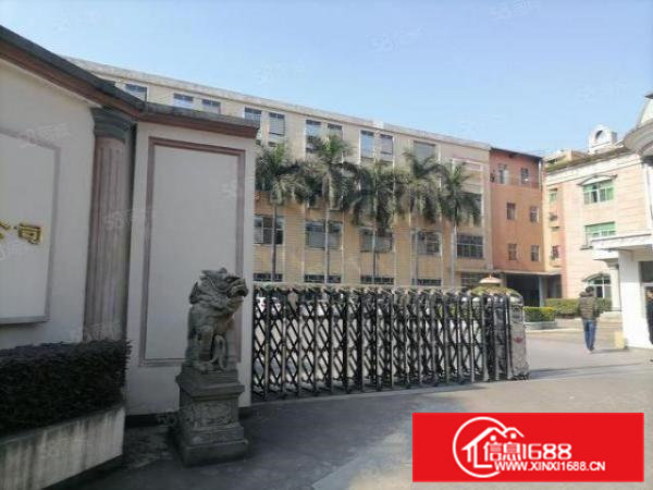 寮步镇花园式厂房新空出一楼1000平方出租（价格好谈）