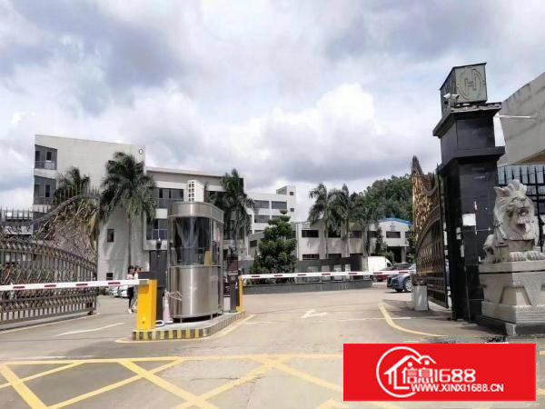 塘厦各类型村委厂房，原房东厂房，500起分组，10元起