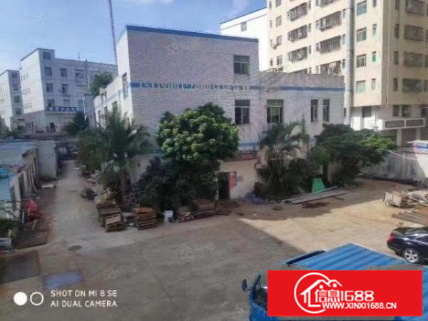 大浪原房东2800平方独门独院厂房园区空地大物流客