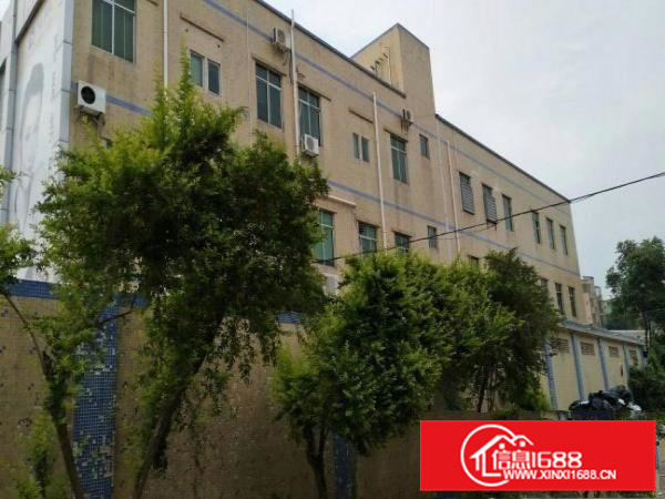 秋长4500平米独院厂房（花园式厂房）