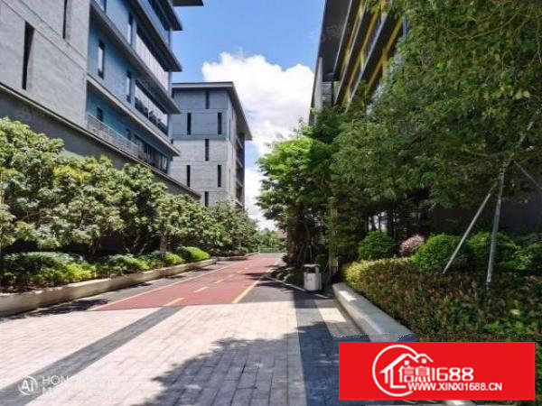 观澜高端园区350平形象好车位足交能便利精装修拎包入驻