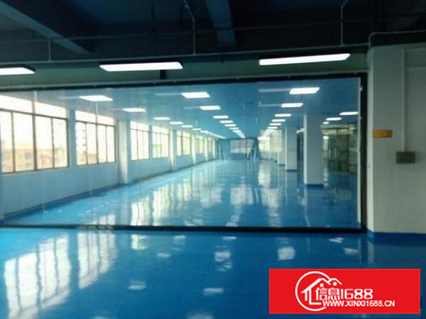 常平新出1000平方厂房出租，全新地坪漆现成水电