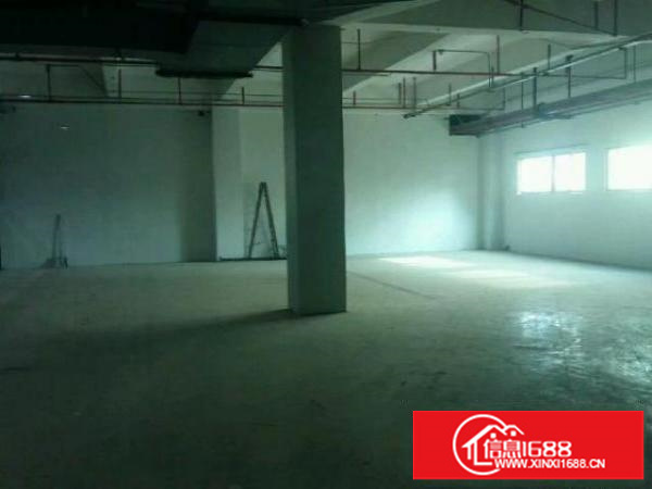 沙井黄埔107国道旁贸易电商厂房出租300平米