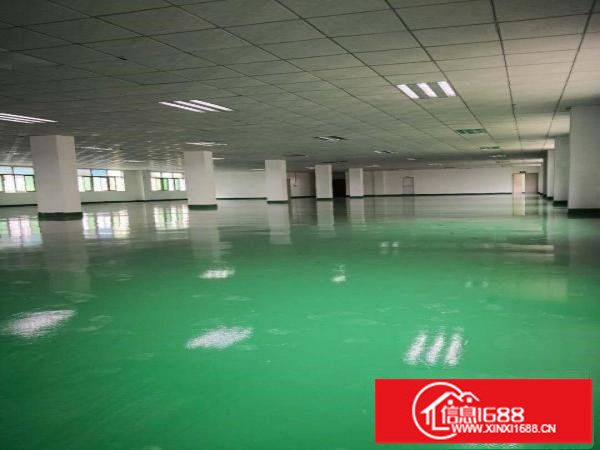 新出！平湖带红本厂房三楼带办公室装修1350平方急租