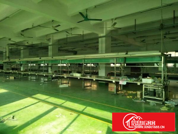 塘厦沙湖楼上1000平方带装修厂房出租