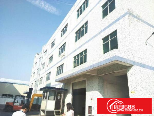 秋长新出一楼700平标准厂房水电齐全低价出租