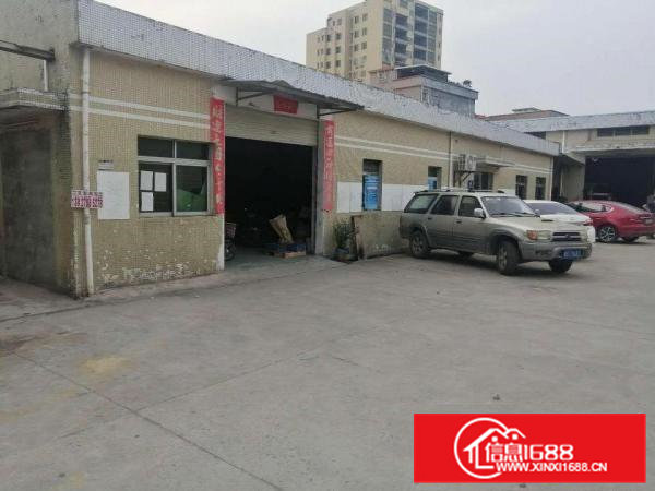 石排镇原房东独门独院单一层带牛角位砖墙到顶优惠出租