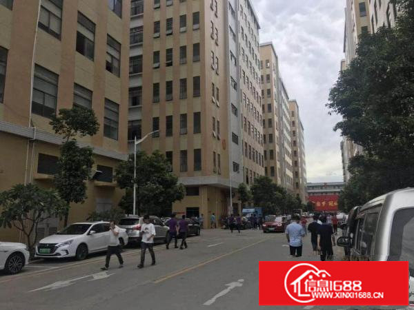 布吉坂田.3万平方精装修红本厂房出租500起分租招租