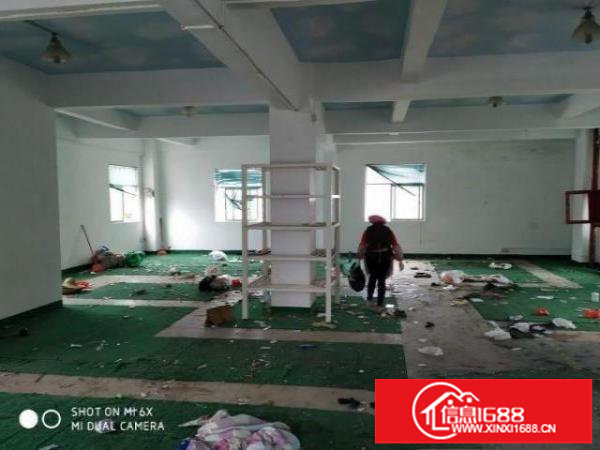 大田洋600平带精装修厂房出租