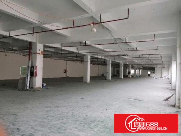 标准楼层高新产业园双3吨电梯厂房