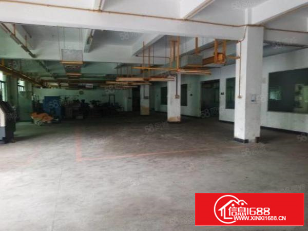 石碣横滘一手房东分租标准独院厂房一楼400平方，无公摊！