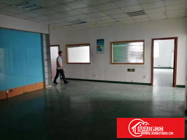 大浪行政中心鹏腾达科技园新出一楼580平方带简单装修招租