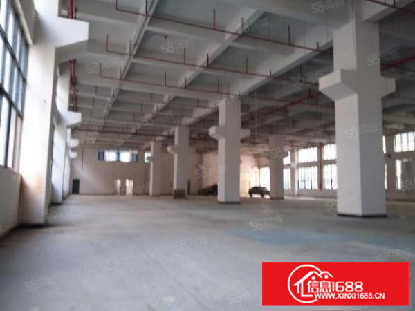 凤岗镇雁田全新标准15000平厂房出租可以分租可办环评