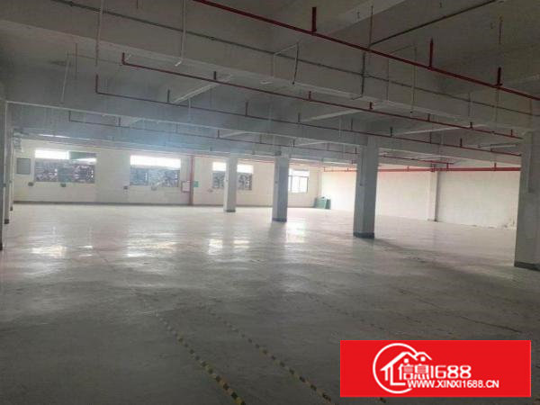 塘厦新出带装修楼上整层电子厂