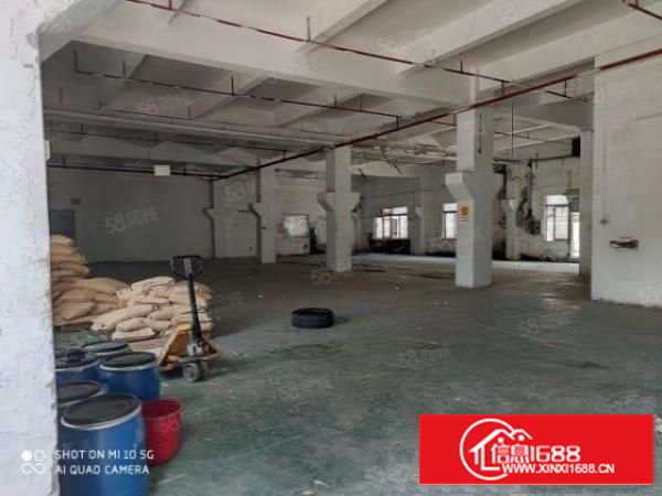 石碣原房东新出11000平方可办环评可分租