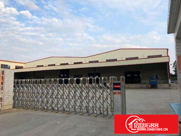 高埗镇环城路外原房东独门独院单一层钢构厂房岀租