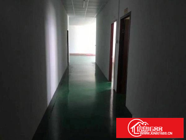 坪山石井新出厂房500平带装修