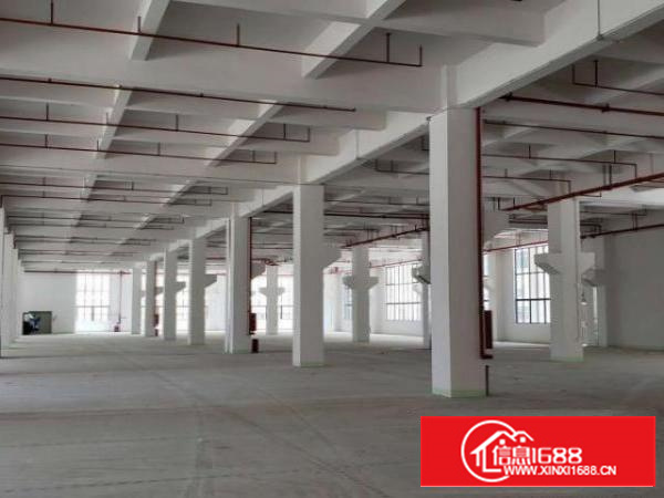 东莞市石碣梁家村30000平方全新高新园区厂房便宜招租